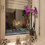 Rez De Chaussée - 2 Appartement