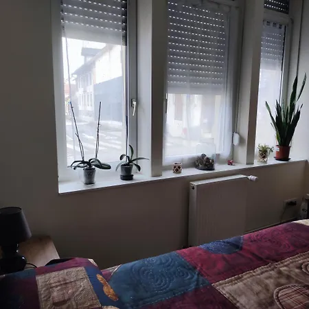 Appartement Rez De Chaussee - 2 Bischheim