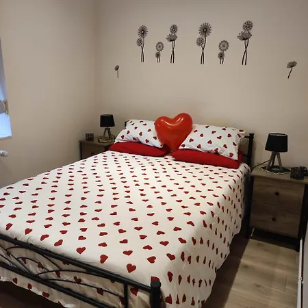 Rez De Chaussee - 2 Bischheim