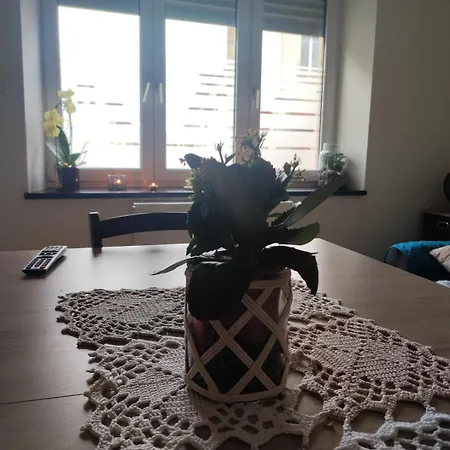 Apartmán Rez De Chaussee - 2 *