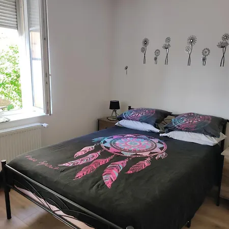 Rez De Chaussee - 2 * Bischheim