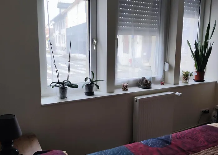 Appartement Rez De Chaussee - 2 Bischheim