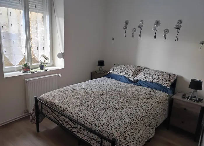 Rez De Chaussee - 2 Appartement