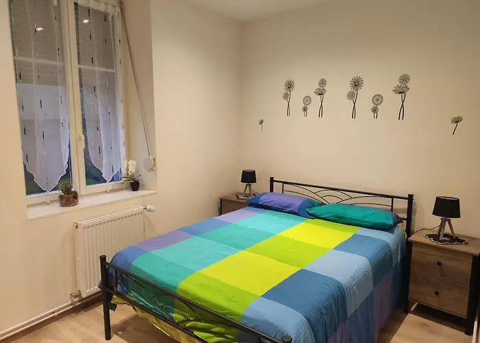 Appartement Rez De Chaussee - 2