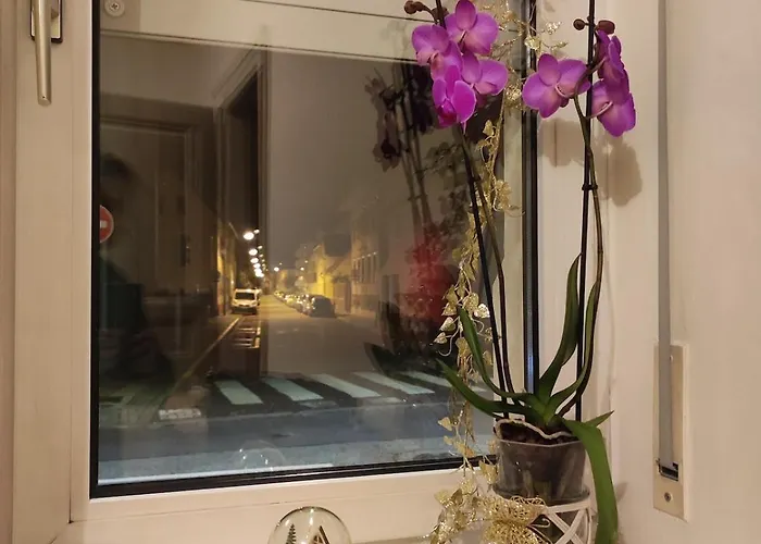 Rez De Chaussee - 2 Appartement