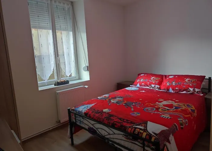 Appartement Rez De Chaussee - 2