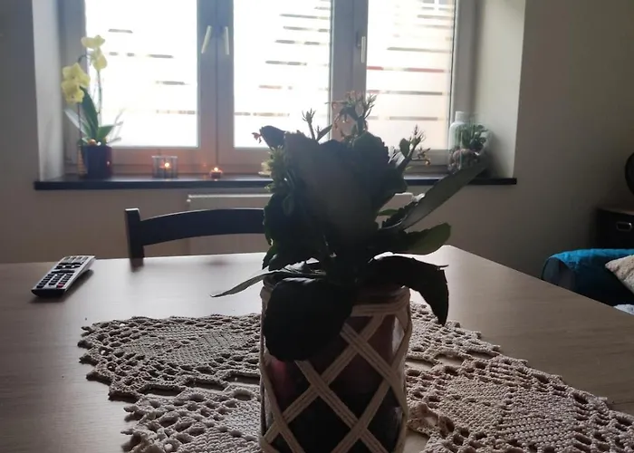 Appartement Rez De Chaussee - 2 *