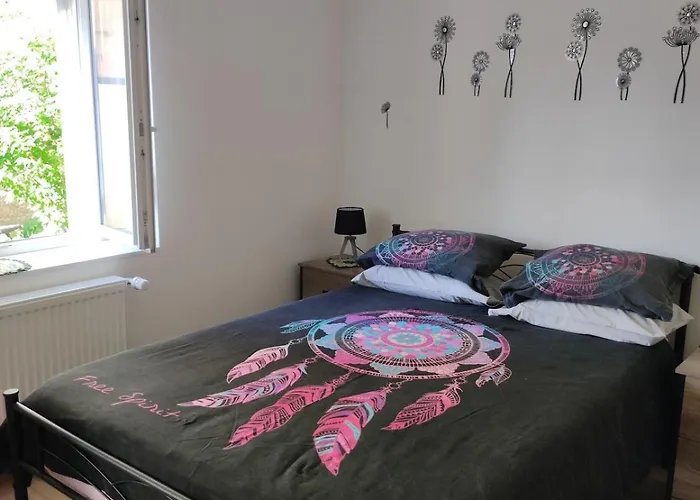 Rez De Chaussee - 2 * Bischheim